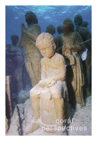 Little Boy Seated