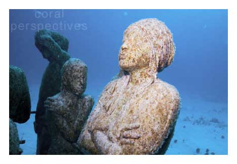 Woman with Arms Crossed